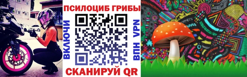 Псилоцибиновые грибы Cubensis  Малаховка 